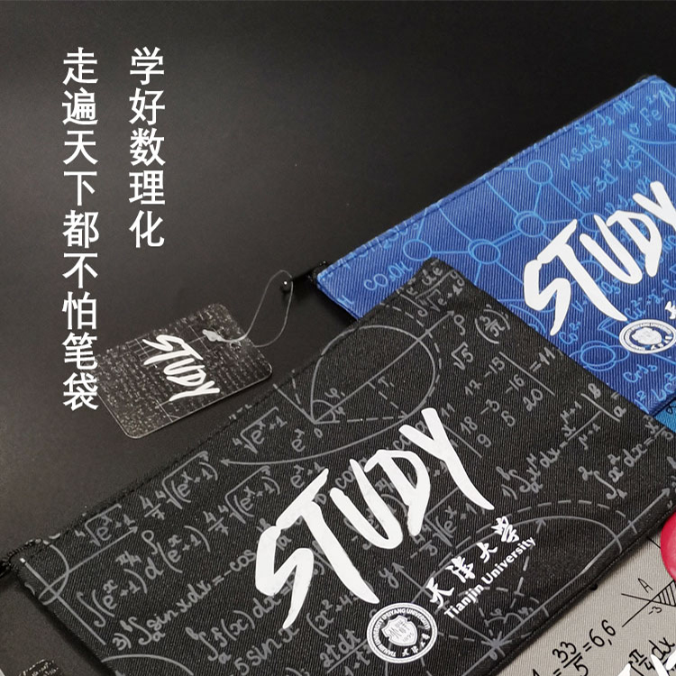 天津大学原创帆布拉链数理公式学生笔袋 收纳包