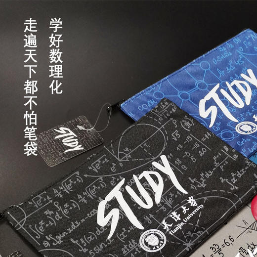 天津大学原创帆布拉链数理公式学生笔袋 收纳包 商品图0