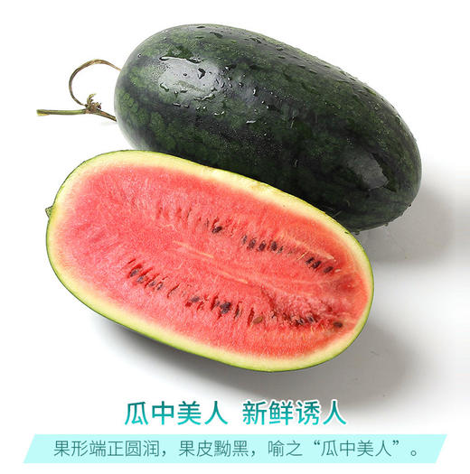 黑美人西瓜12斤左右1箱 商品图0