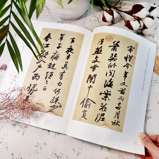 十大行书名帖放大临摹本——苏轼黄州寒食帖 商品图2