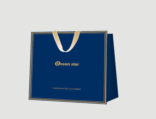Ocean Star海参手提袋 商品图0