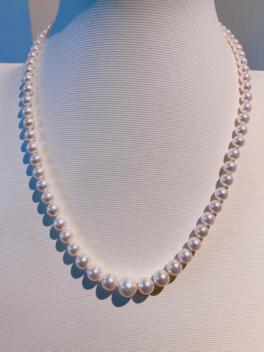 「节奏」3.5-9.5mm渐变 Akoya珍珠项链全圆强光樱花粉Akoya珍珠 商品图1