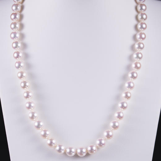 「极光」天女Akoya珍珠项链8-8.5mm全圆强光樱花粉天女Akoya 商品图5