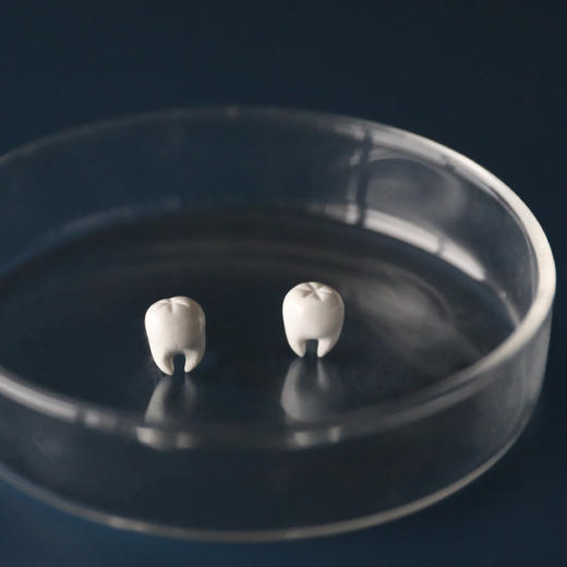 七口『迷你纯白牙齿』 ｜手工软陶黏土耳环饰 商品图0