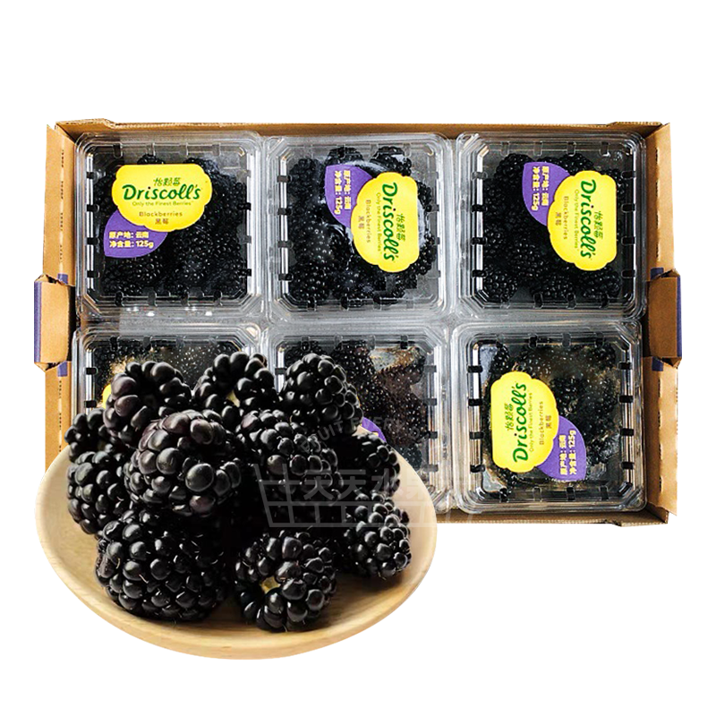美国加州 怡颗莓黑莓 大颗粒 爆汁