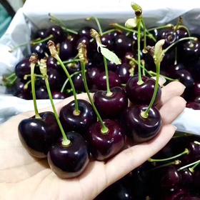 科迪亚车厘子预订168一箱十斤