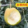 【KM】库尔勒香梨 7kg/箱 商品缩略图2