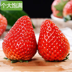 久久草莓3斤左右 一箱