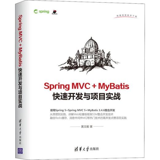 Spring MVC+MyBatis快速开发与项目实战 商品图0