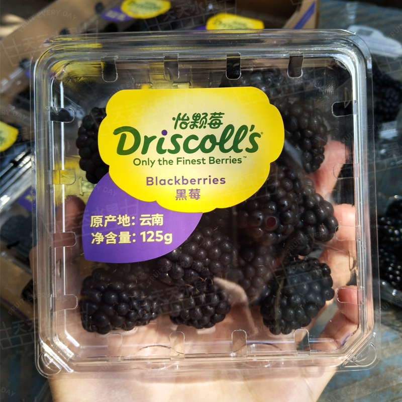 美国加州 怡颗莓黑莓 大颗粒 爆汁