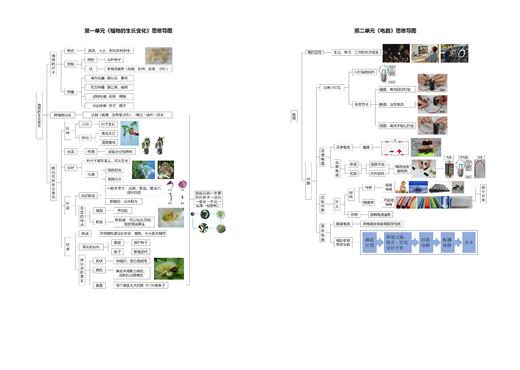 现货 | 四年级下册《小学科学名卷》 商品图5
