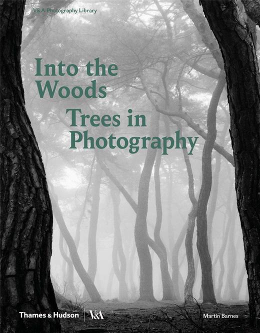 Into the Woods: Trees in Photography ，走进丛林：树木摄影 商品图0
