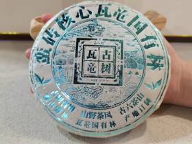 2020瓦竜国有林古树