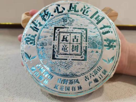 2020瓦竜国有林古树 商品图0