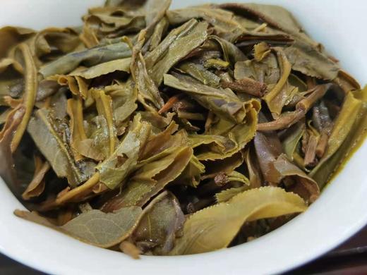 2020筒箐河古树 商品图6