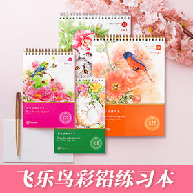 飞乐鸟彩铅绘画练习本文具画画美术工具