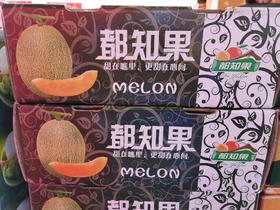 都知果脆甜晓蜜瓜一箱