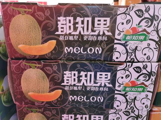 都知果脆甜晓蜜瓜一箱 商品图0