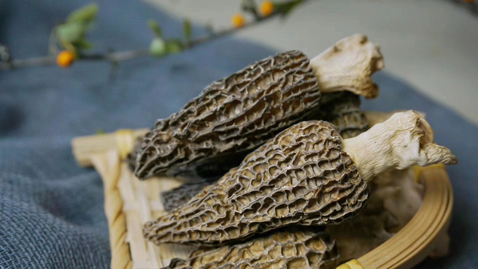 【团购特惠】云南干羊肚菌，菌类干货，精致礼盒装，瓶装50g，最新日期