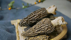 【团购特惠】云南干羊肚菌，菌类干货，精致礼盒装，瓶装50g，最新日期