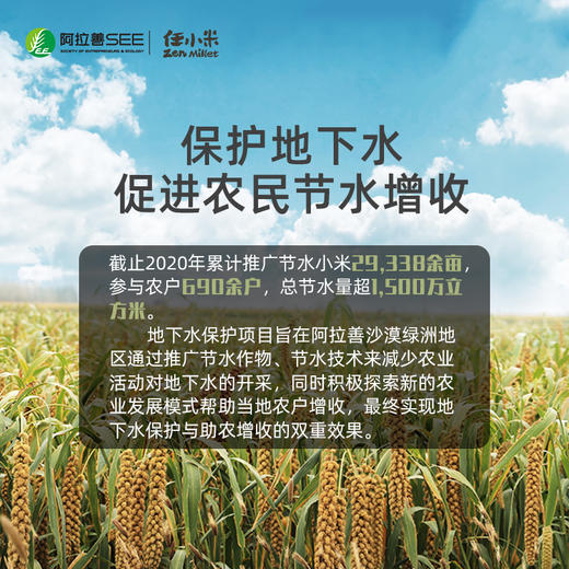 【公益】任小米5斤月子粮食农家真空包装沙漠节水小米真空袋装 商品图3