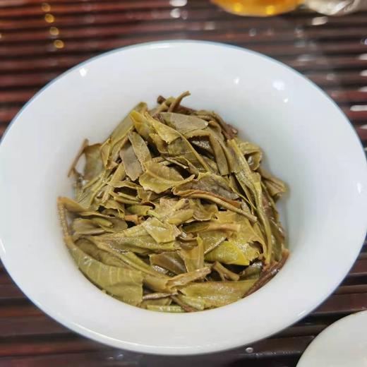 2020年帕沙古树 商品图4