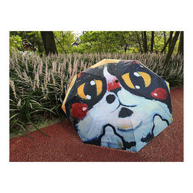 泡面猫丨自动伞