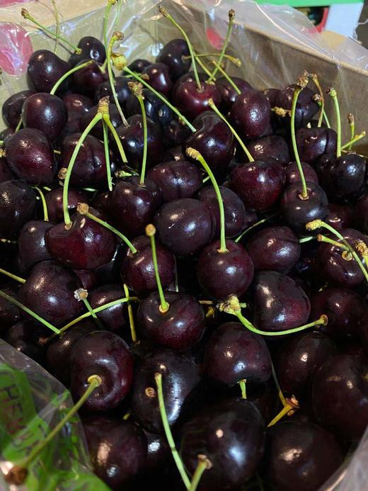 周三取货：【孔雀科迪亚2J车厘子】整箱5斤，甜度高，硬，脆，甜！ 商品图4