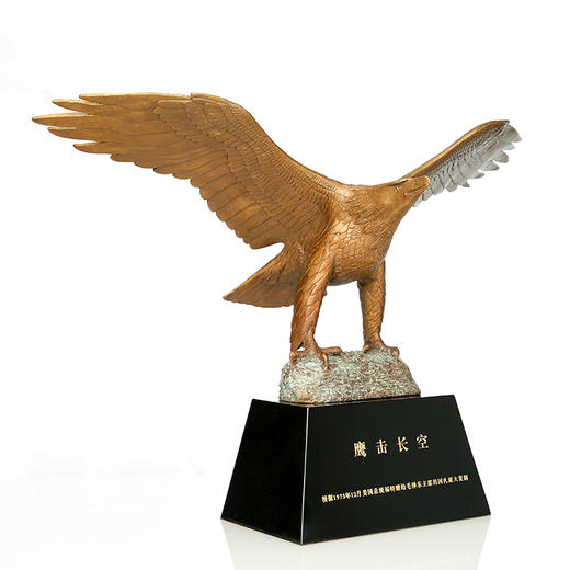 宇达青铜纯铜鹰摆件《鹰击长空》家居工艺品 饰品 仿复制国礼摆件 商品图1