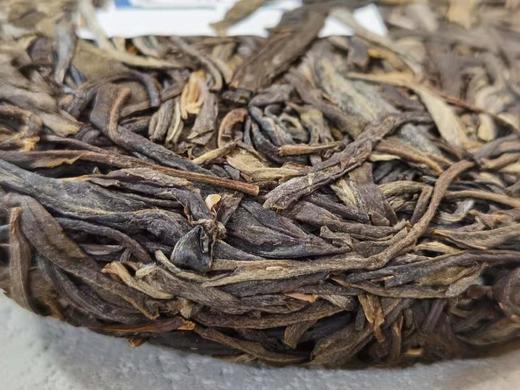 2020筒箐河古树 商品图3