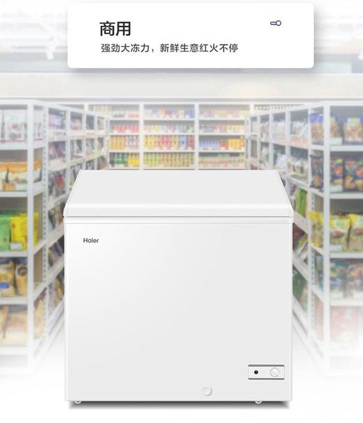 海尔（Haier）冷柜BC/BD-203HMP 商品图5