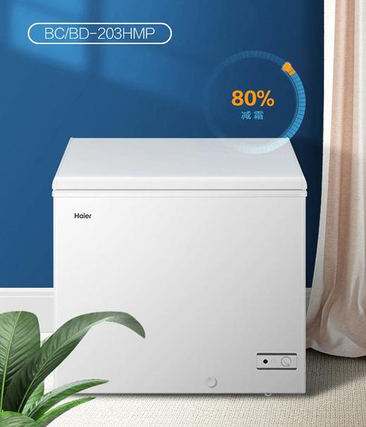 海尔（Haier）冷柜BC/BD-203HMP 商品图0