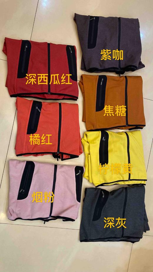 飞向春天的鸟儿  上了新颜色 商品图1