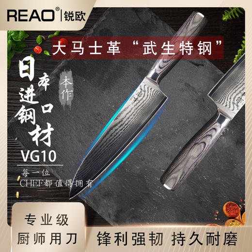 【清仓特惠4.5折，仅1件，无货退款】锐欧本作大马士革主厨刀 商品图4
