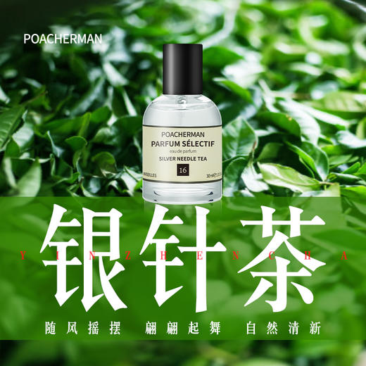 银针茶香水天然清新香氛SILVER NEEDLE TEA白毫 中性香持久留香 商品图0