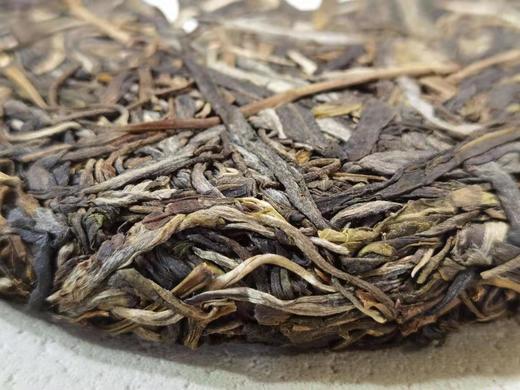 2020瓦竜国有林古树 商品图2