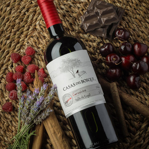 智利CASAS DEL BOSQUE珍藏佳美娜葡萄酒 商品图1