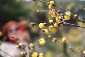 当春天遇上“窝”，让你的美无处可藏！