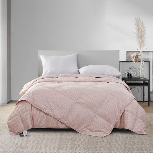 璀璨可水洗鹅绒春秋被 商品图0