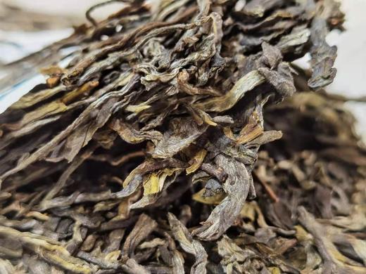 2020春岩生古树 商品图3