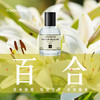 百合香水花香淡雅 Lily自然清新淡香中性香女香氛正品 圣诞节礼物马赛30ML买一送一 商品缩略图0
