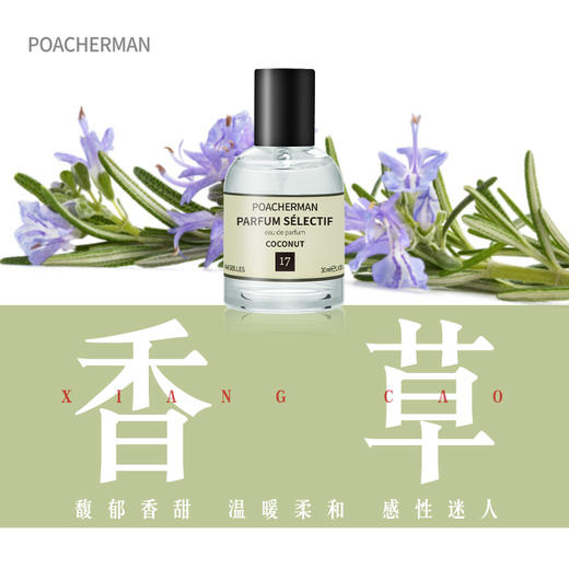 香草香调香水天然花香持久淡香 VANLIA香荚兰香草香氛正品EDP香水 商品图0