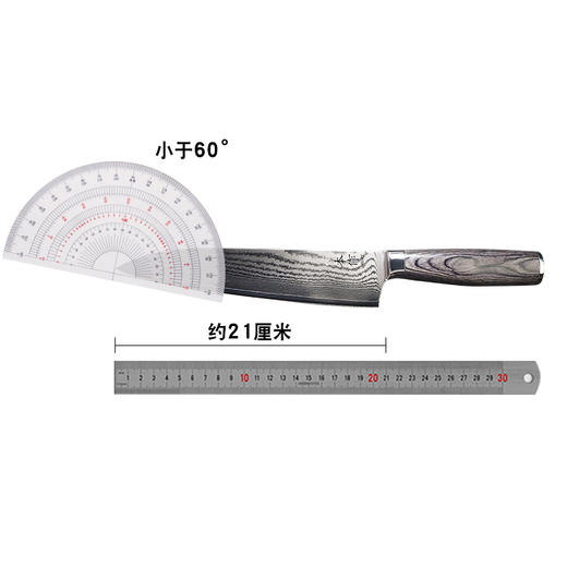 【清仓特惠4.5折，仅1件，无货退款】锐欧本作大马士革主厨刀 商品图1