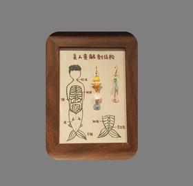 七口『美人鱼解剖 』｜装饰画框