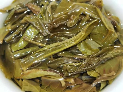 2020瓦竜国有林古树 商品图6