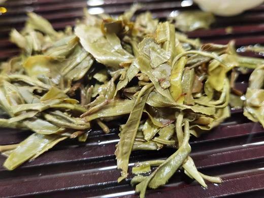 2020年帕沙古树 商品图5