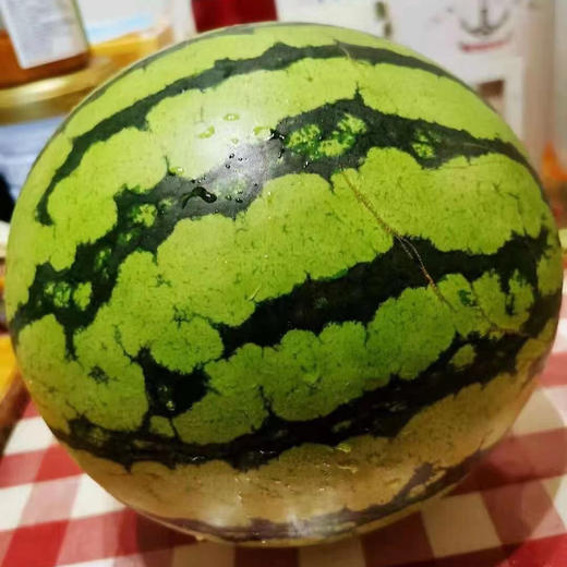 【好吃的沙地麒麟瓜】超甜，秒海南麒麟瓜代表作（几乎无籽！），风靡江浙沪麒麟瓜！全面口感稳定如一！不怕再踩麒麟的雷 商品图2