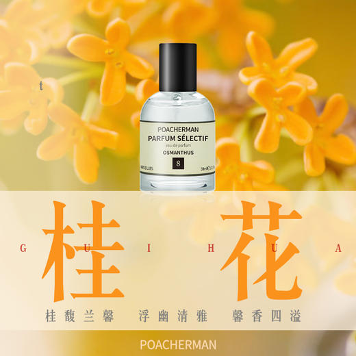 桂花香水 八月桂花味中性男女士天然持久淡香水买就送香氛护手霜 商品图0