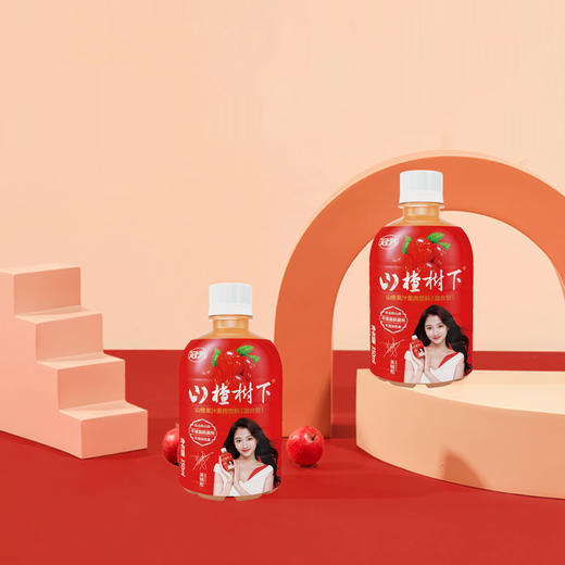 冠芳山楂树下饮料 山楂汁350ml*12瓶 果味 果汁 解腻 开胃 整箱 商品图2