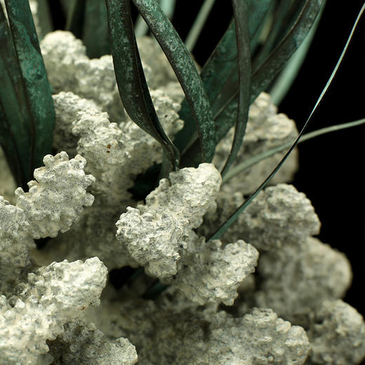 宇达青铜全铜摆件《珊瑚盆景》仿复制国礼 家居 装饰 工艺品摆件 商品图4